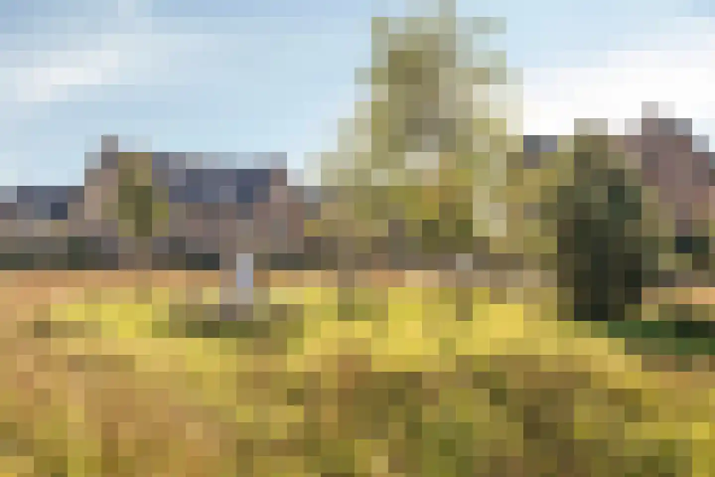Rafaëlstraat 11 Lent thumbnail 39