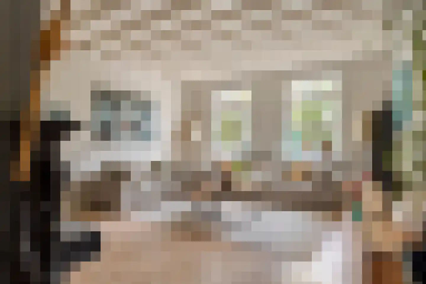Raffendonkstraat 28 Oirschot thumbnail 16