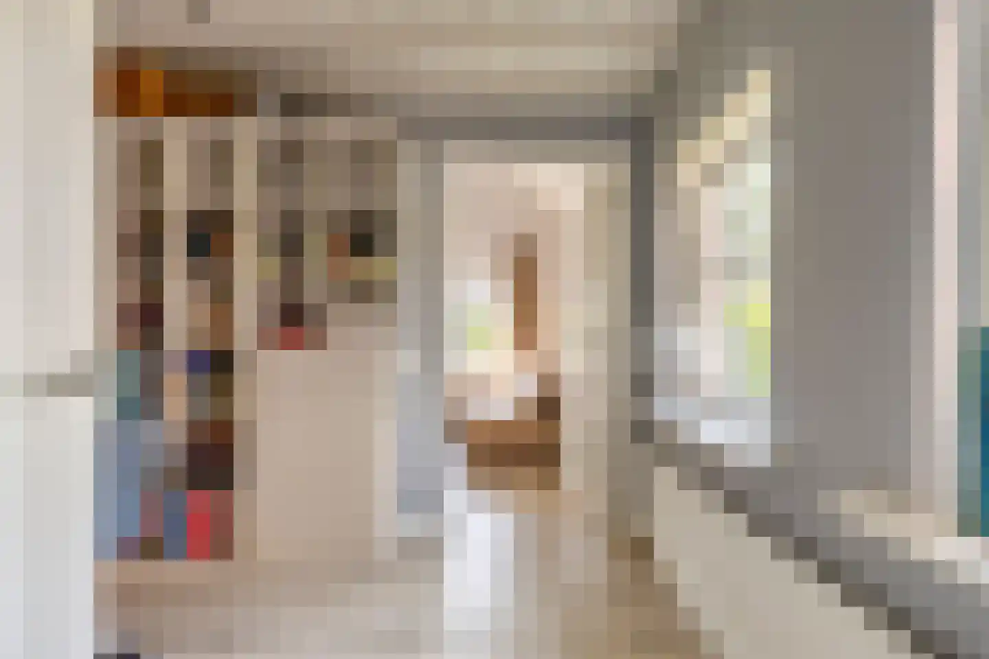 Raffendonkstraat 28 Oirschot thumbnail 30