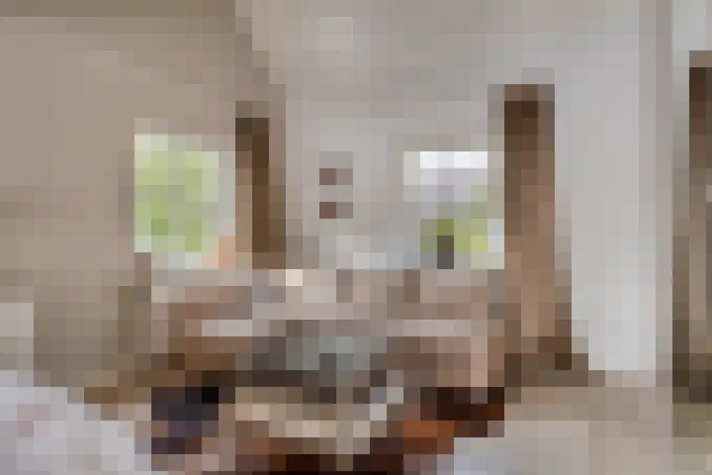 Raffendonkstraat 28 Oirschot thumbnail 33