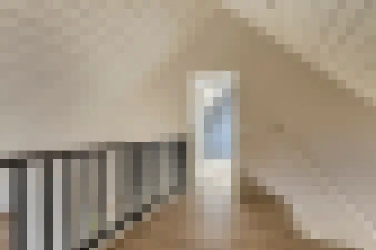 Raffendonkstraat 28 Oirschot thumbnail 37