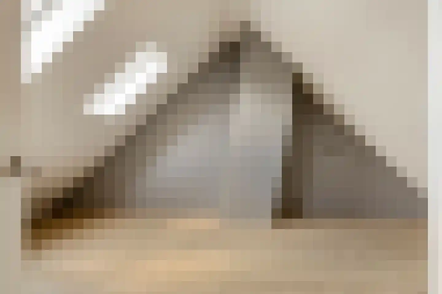Raffendonkstraat 28 Oirschot thumbnail 38