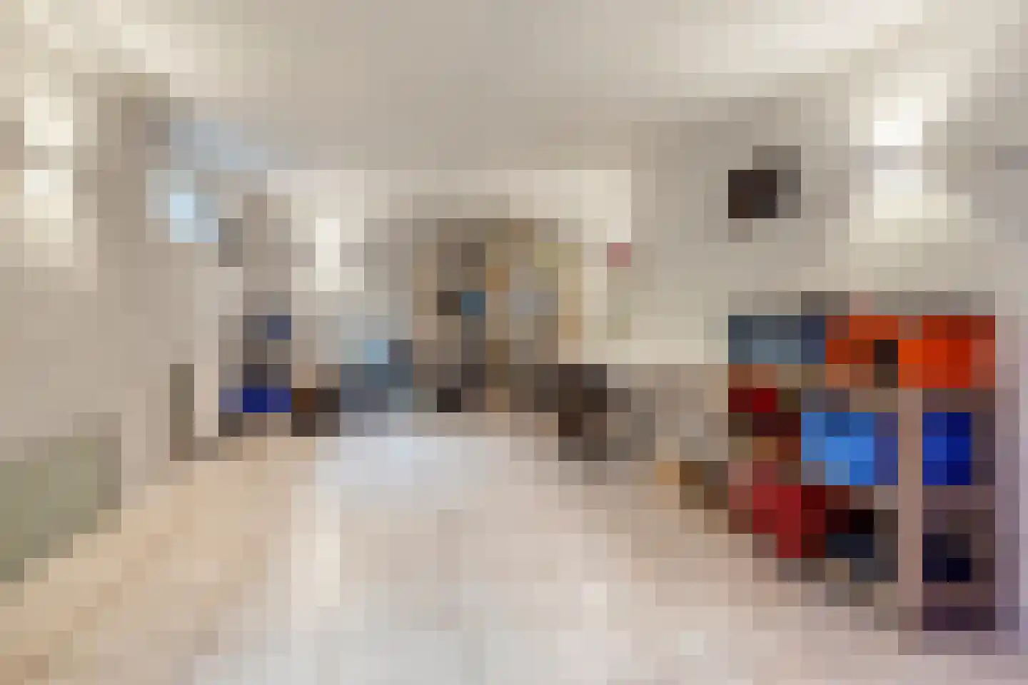 Raffendonkstraat 28 Oirschot thumbnail 57