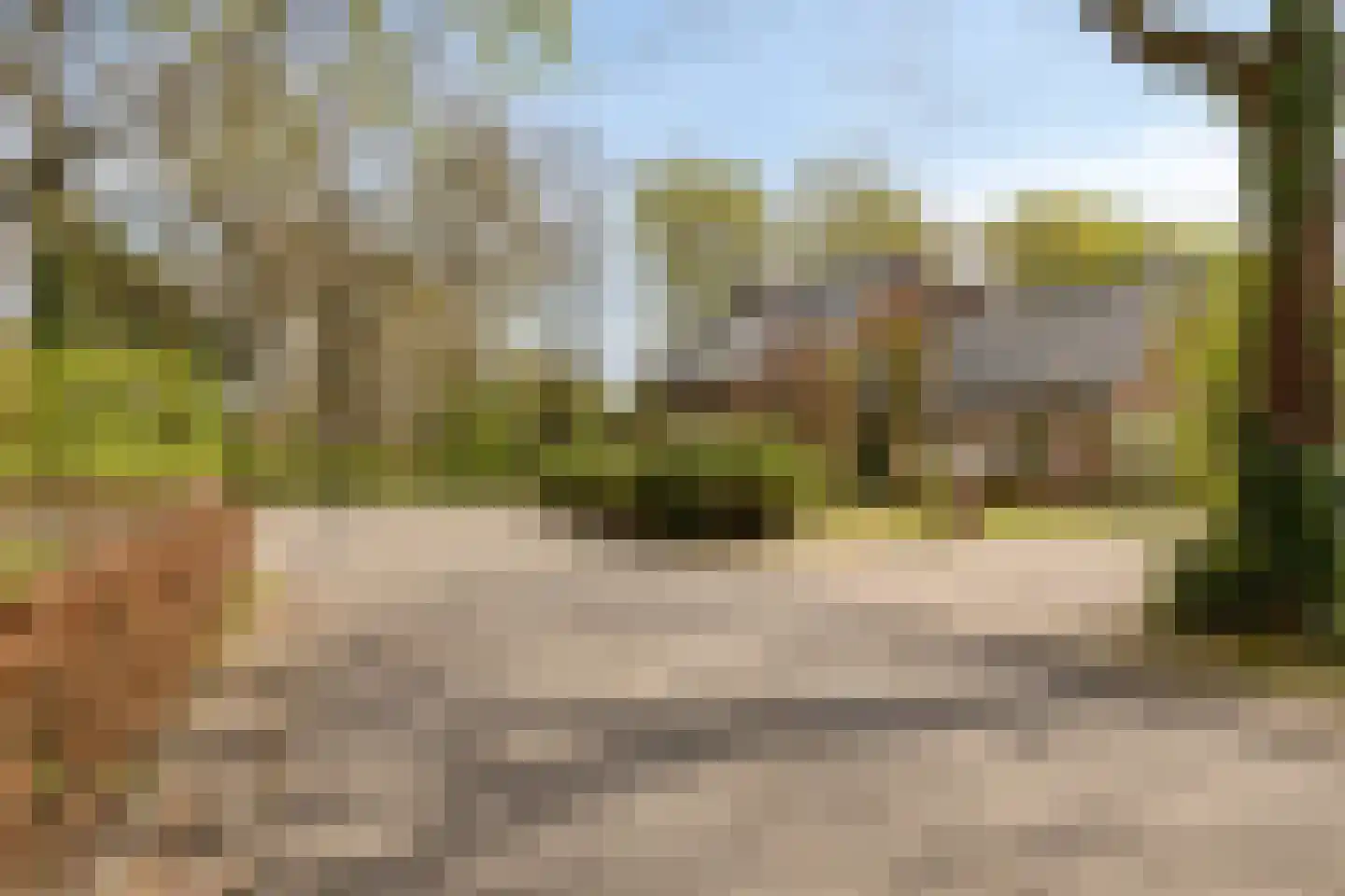 Raffendonkstraat 28 Oirschot thumbnail 6