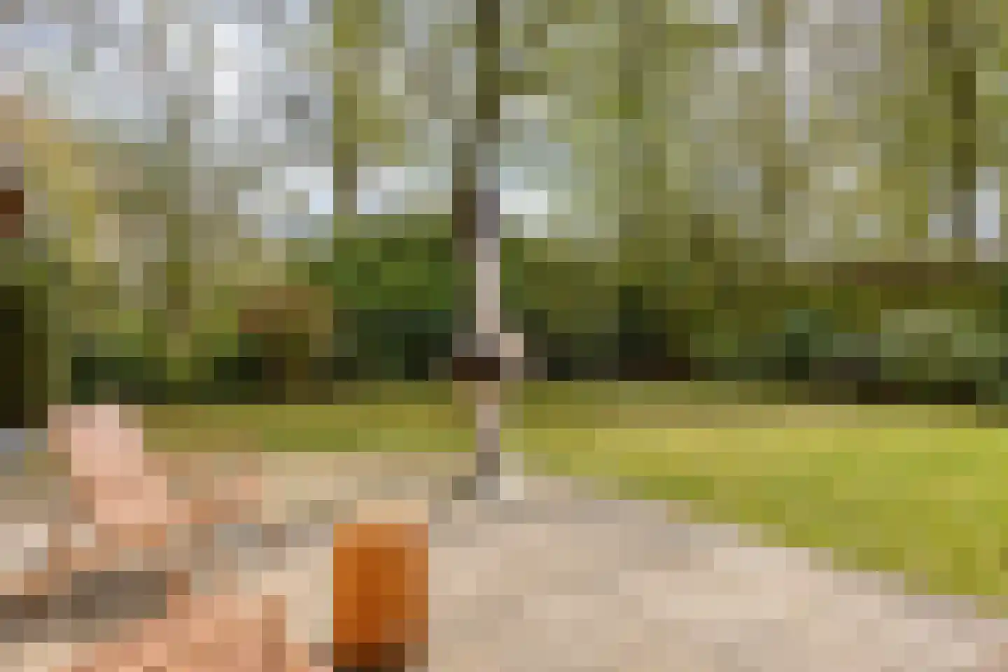 Raffendonkstraat 28 Oirschot thumbnail 62