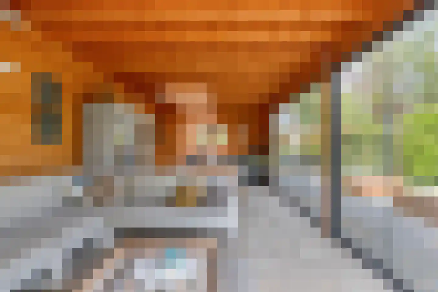 Raffendonkstraat 28 Oirschot thumbnail 68