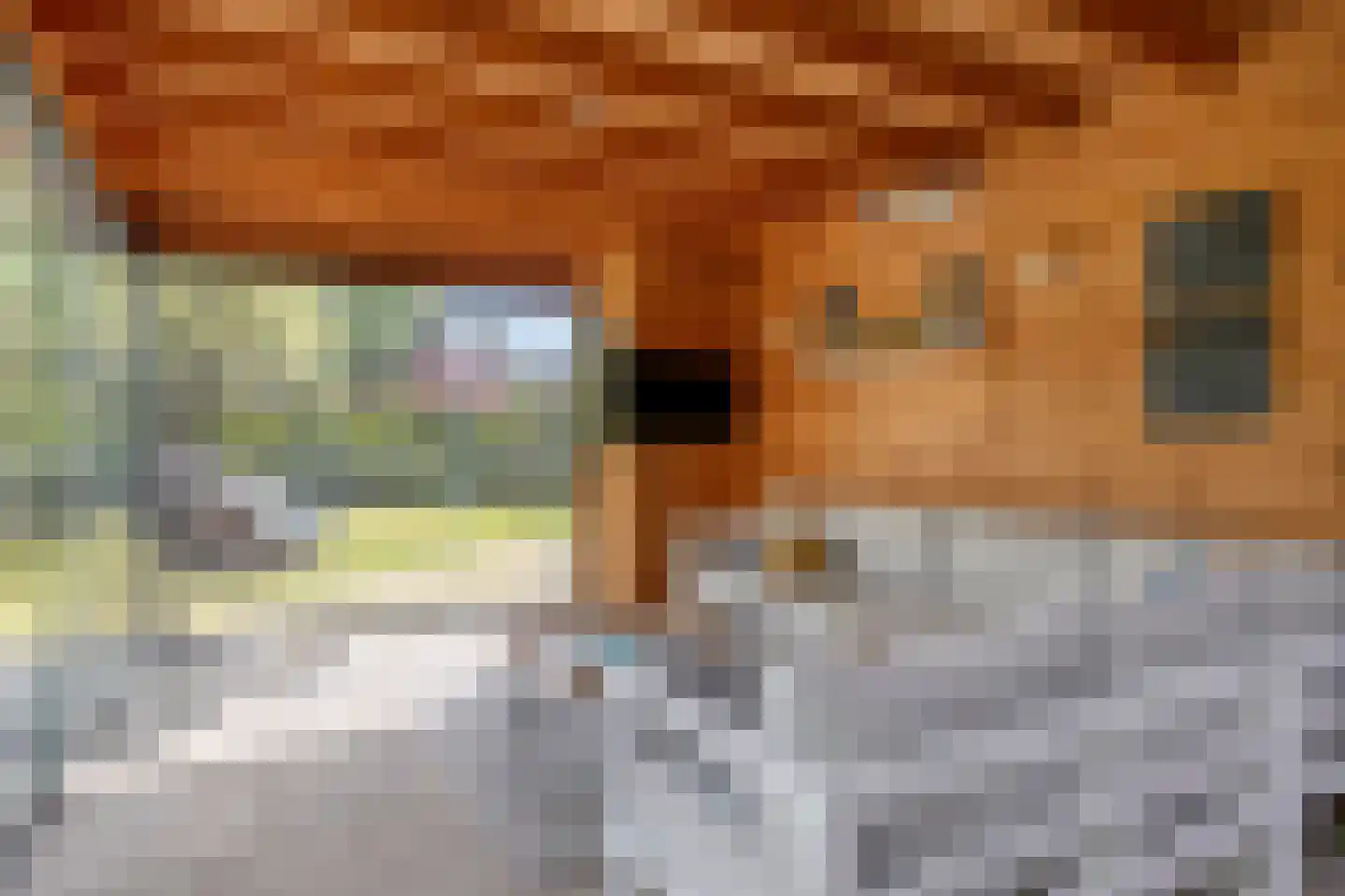 Raffendonkstraat 28 Oirschot thumbnail 70