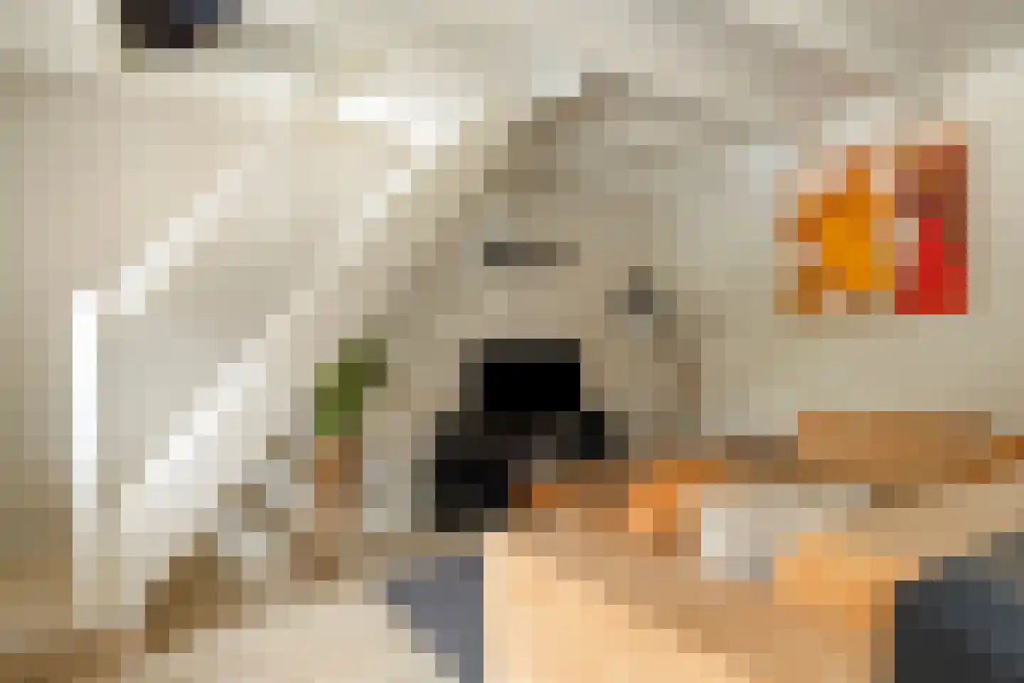 Raffendonkstraat 28 Oirschot thumbnail 76