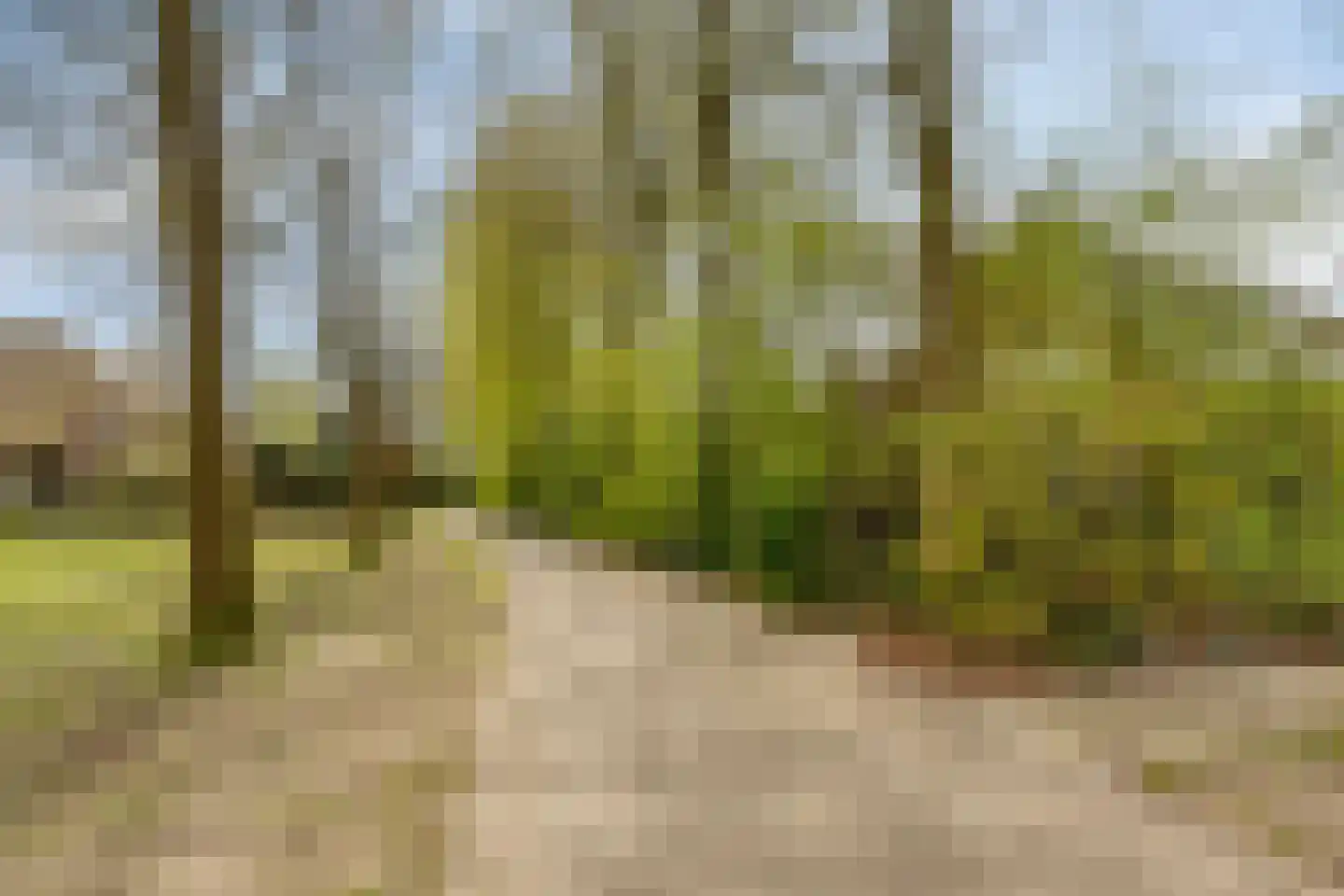 Raffendonkstraat 28 Oirschot thumbnail 85