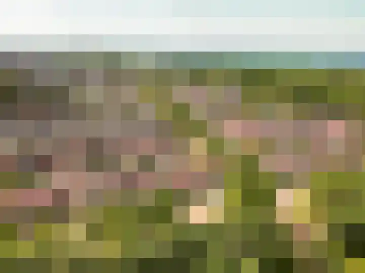 Ragtimedreef 16 Harderwijk thumbnail 39