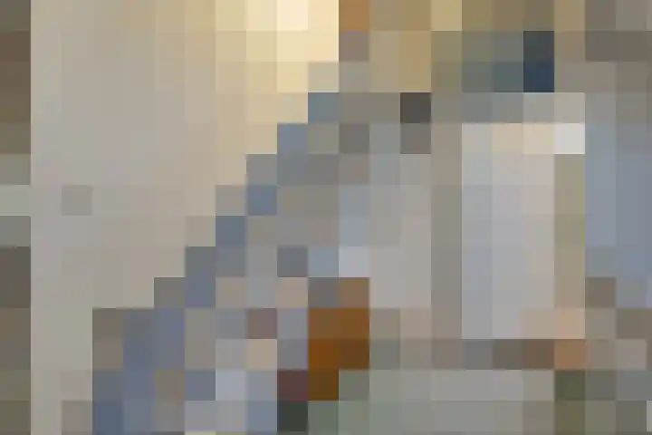 Raiffeisenlaan 1 A Wervershoof thumbnail 26