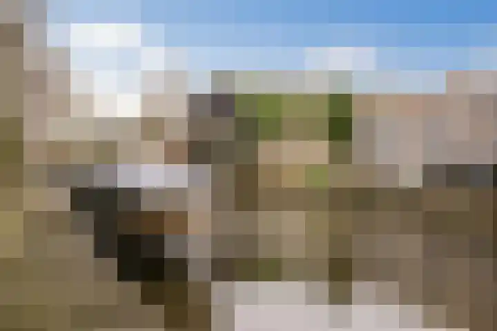 Raiffeisenlaan 1 A Wervershoof foto 3