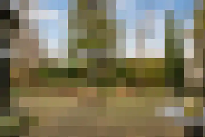 Raiffeisenlaan 1 A Wervershoof thumbnail 31