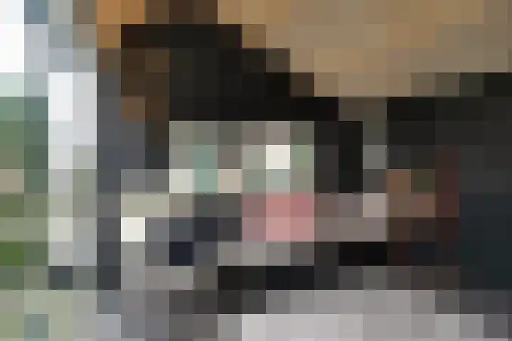 Raiffeisenlaan 1 A Wervershoof thumbnail 32