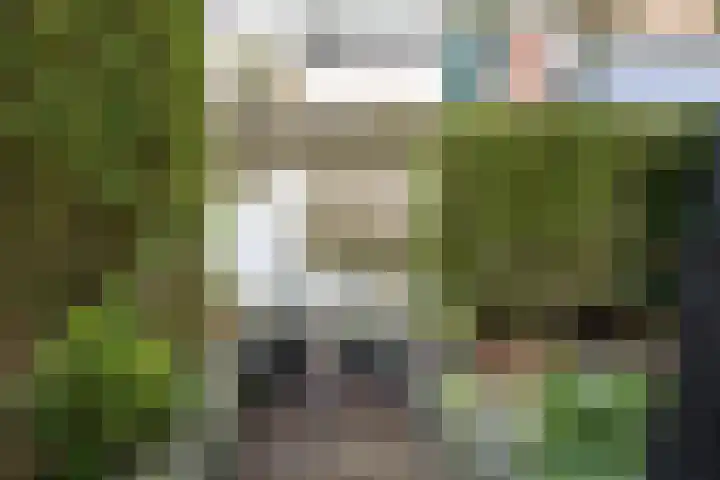 Raiffeisenlaan 1 A Wervershoof thumbnail 35