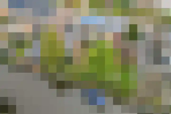 Raiffeisenlaan 1 A Wervershoof thumbnail 4