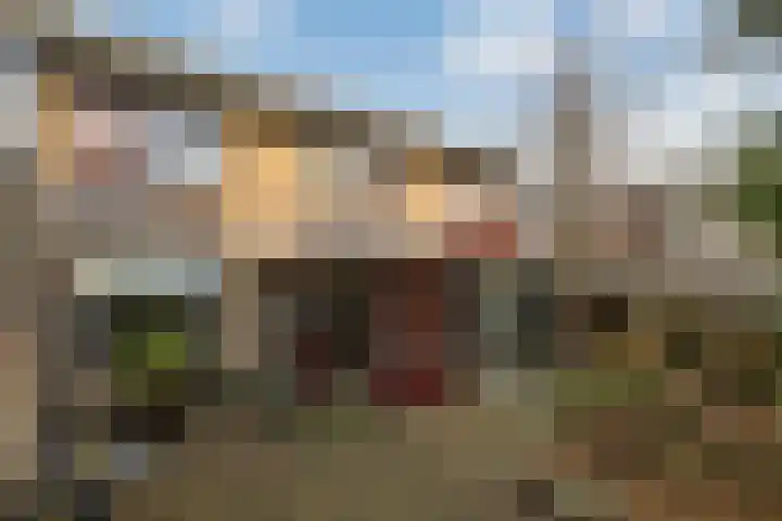 Raiffeisenlaan 1 A Wervershoof thumbnail 5