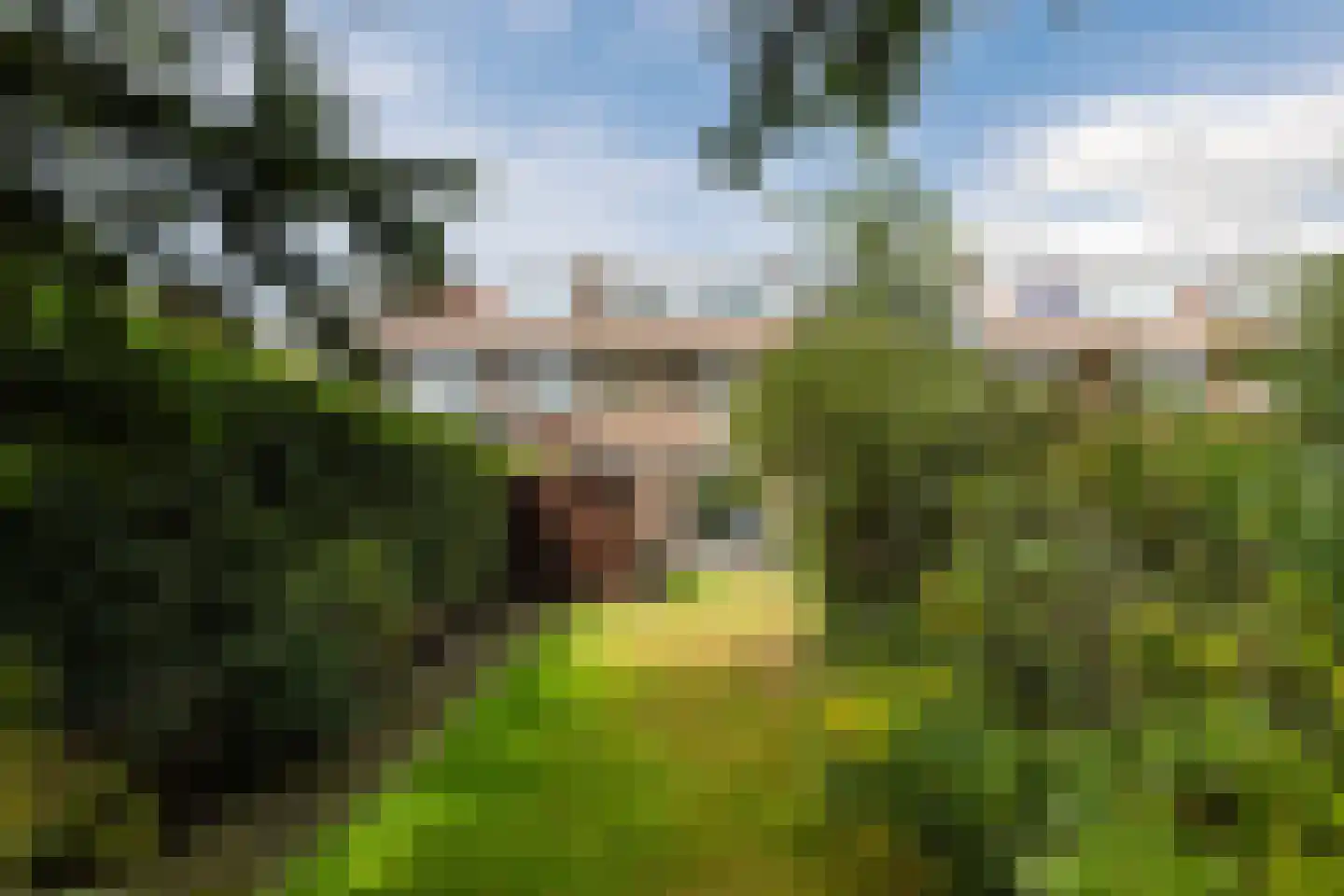 Raiffeisenlaan 16 Utrecht thumbnail 11