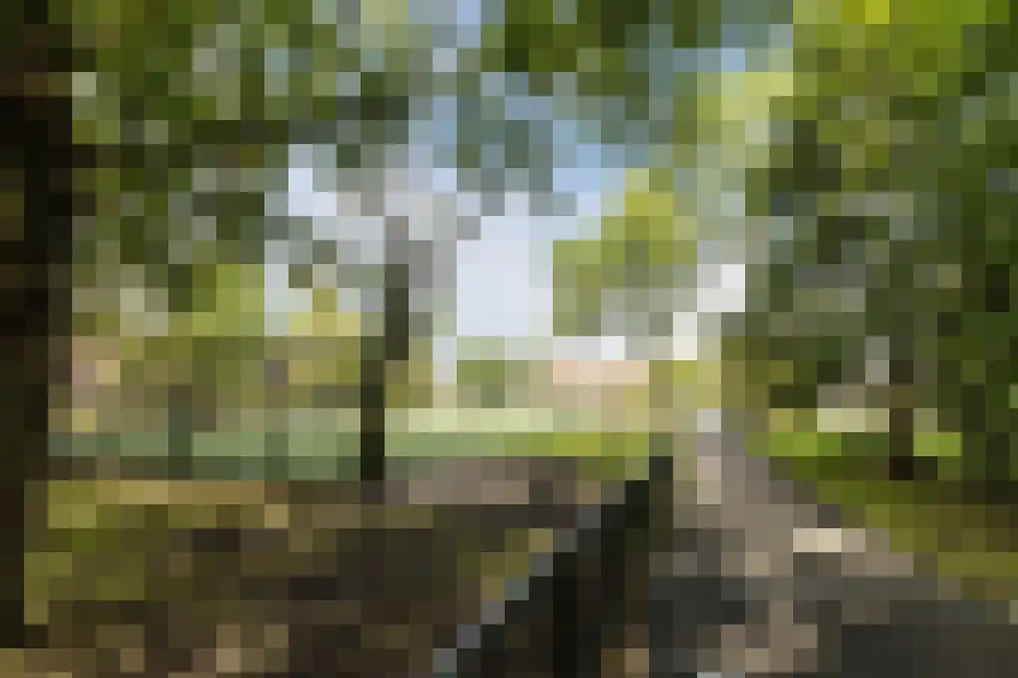 Raiffeisenlaan 16 Utrecht thumbnail 25