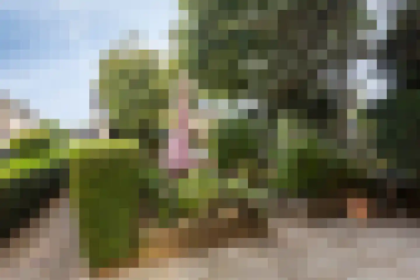 Raiffeisenlaan 20 Wervershoof thumbnail 25