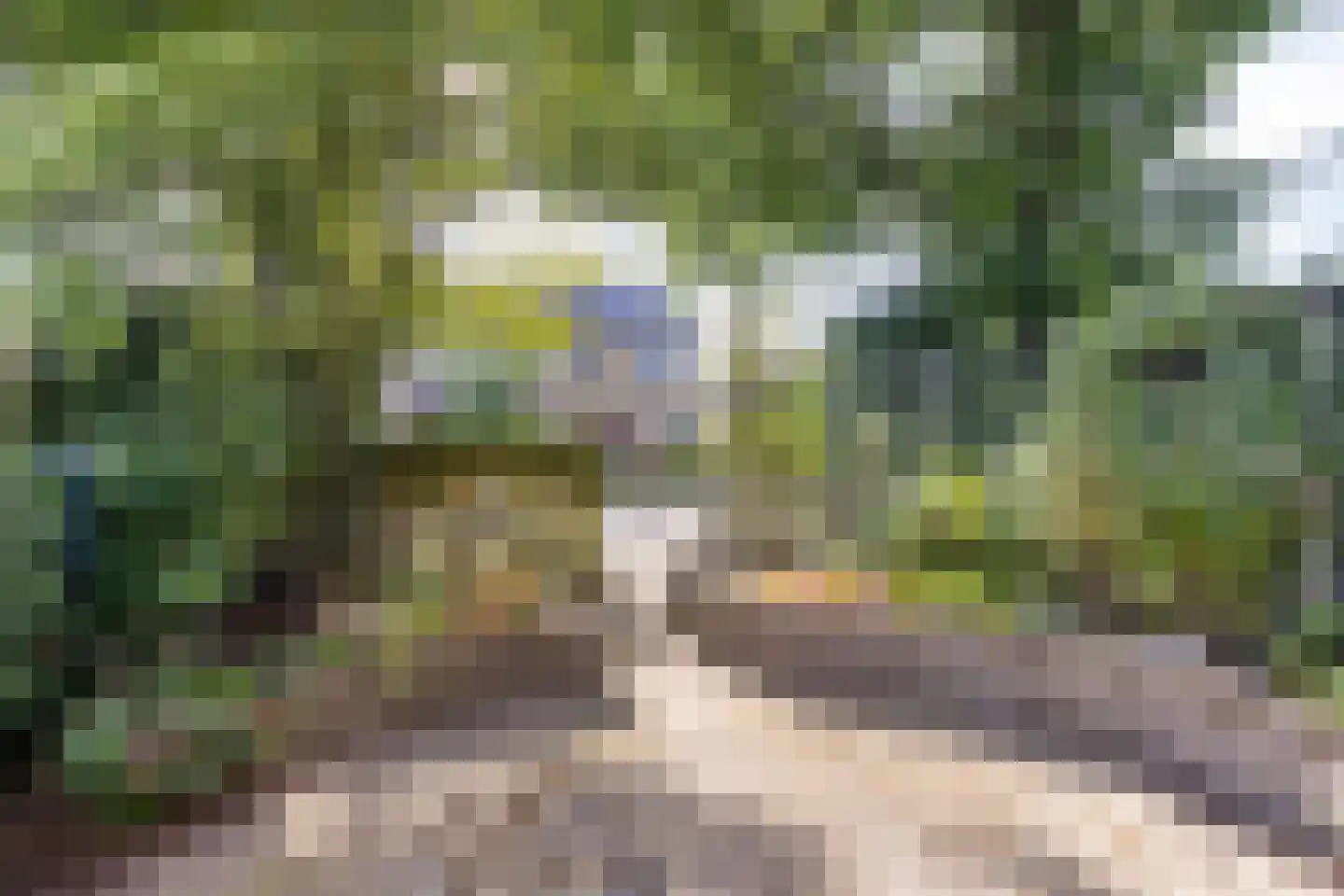 Raiffeisenlaan 20 Wervershoof thumbnail 26