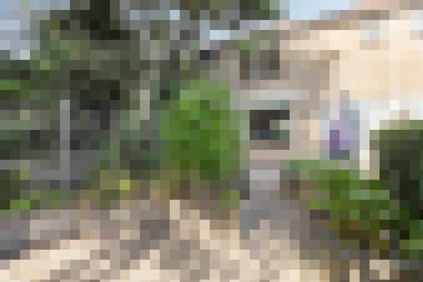 Raiffeisenlaan 20 Wervershoof thumbnail 27