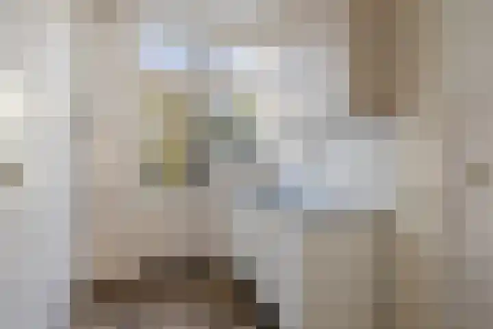 Raiffeisenlaan 21 Utrecht thumbnail 12