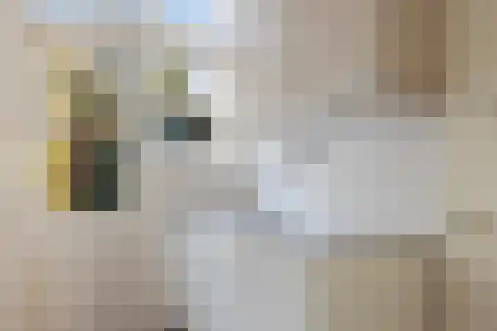 Raiffeisenlaan 21 Utrecht thumbnail 13