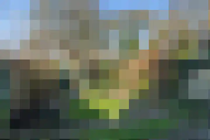 Raiffeisenlaan 21 Utrecht thumbnail 28