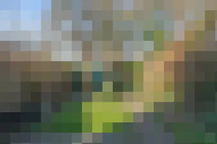 Raiffeisenlaan 21 Utrecht thumbnail 29