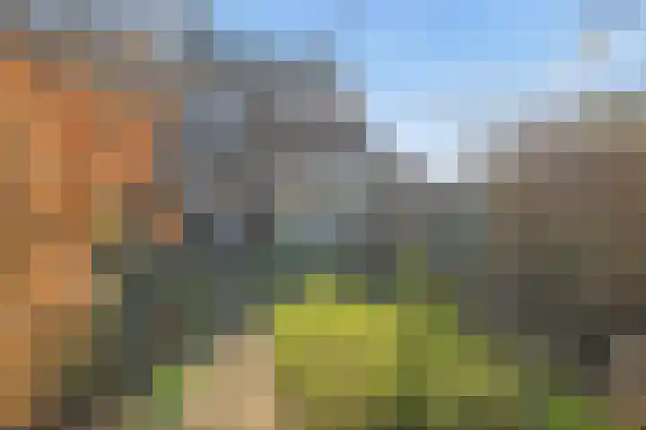 Raiffeisenlaan 21 Utrecht thumbnail 33