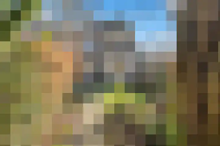 Raiffeisenlaan 21 Utrecht thumbnail 34