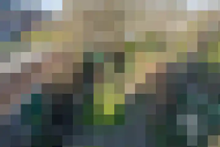 Raiffeisenlaan 21 Utrecht thumbnail 42