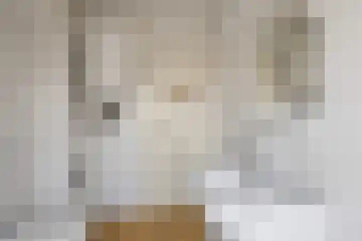 Raiffeisenlaan 21 Utrecht thumbnail 48