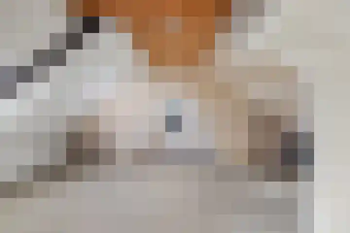 Raiffeisenlaan 21 Utrecht thumbnail 52