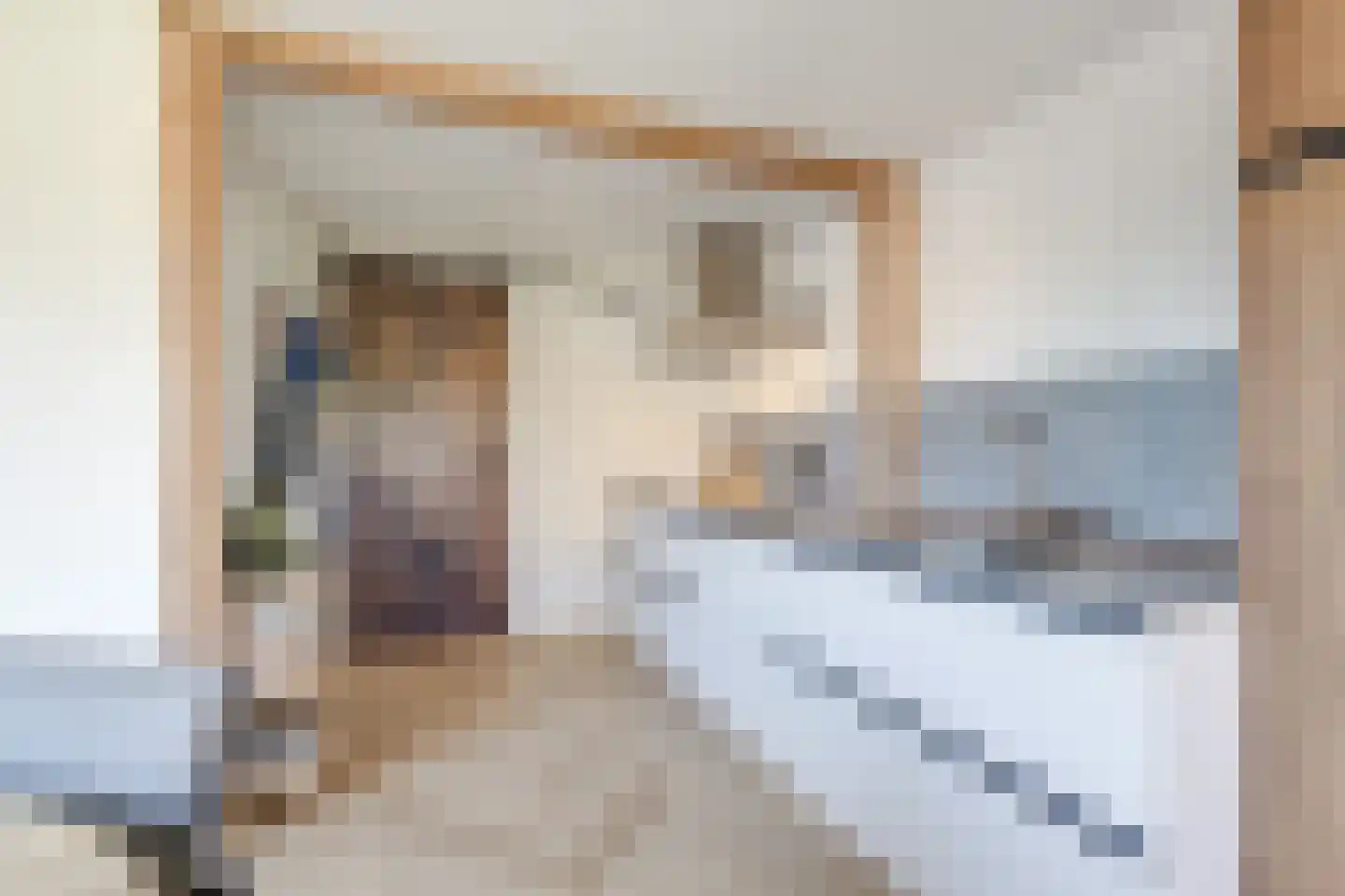 Raiffeisenlaan 36 Wervershoof thumbnail 33