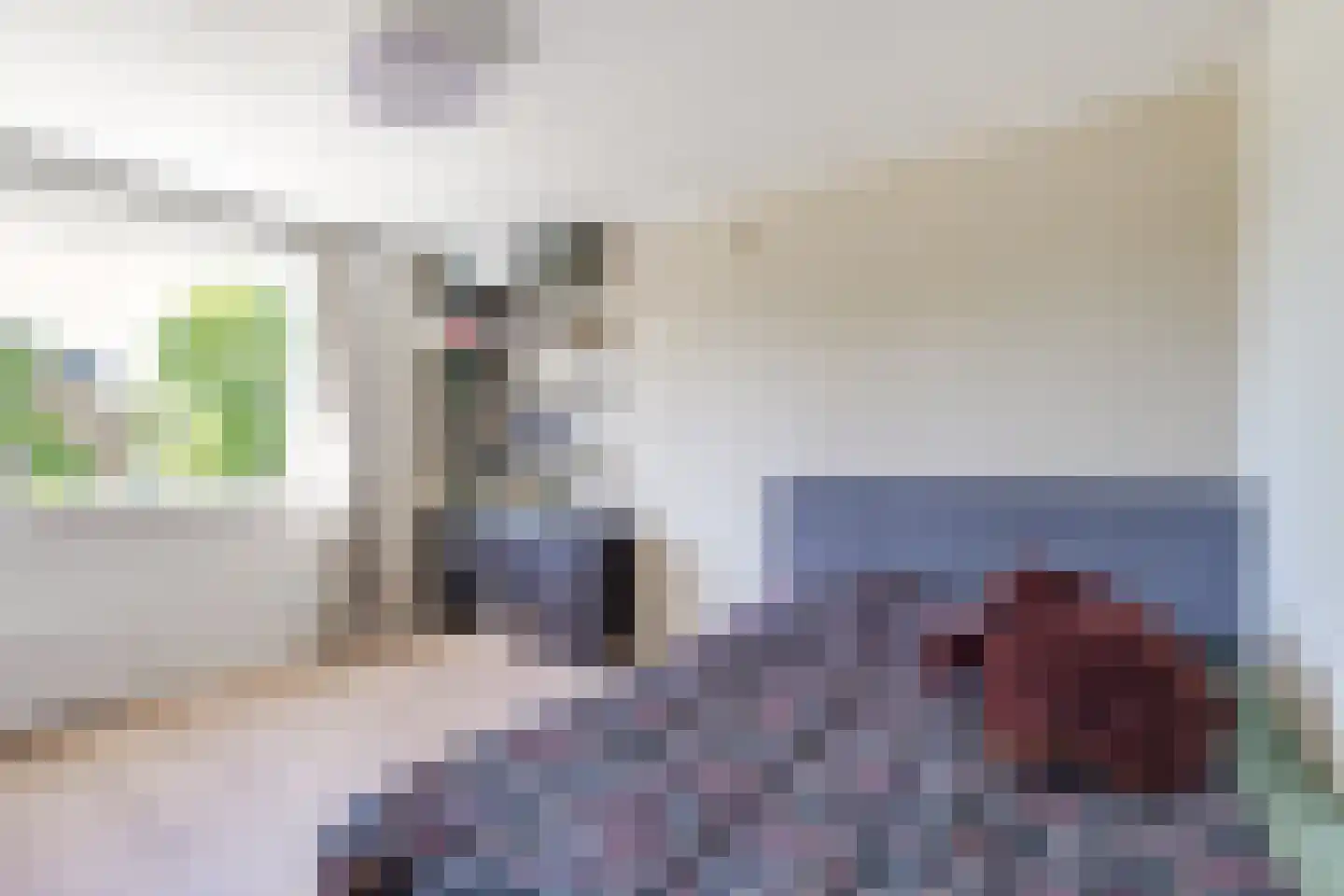 Raiffeisenlaan 36 Wervershoof thumbnail 39