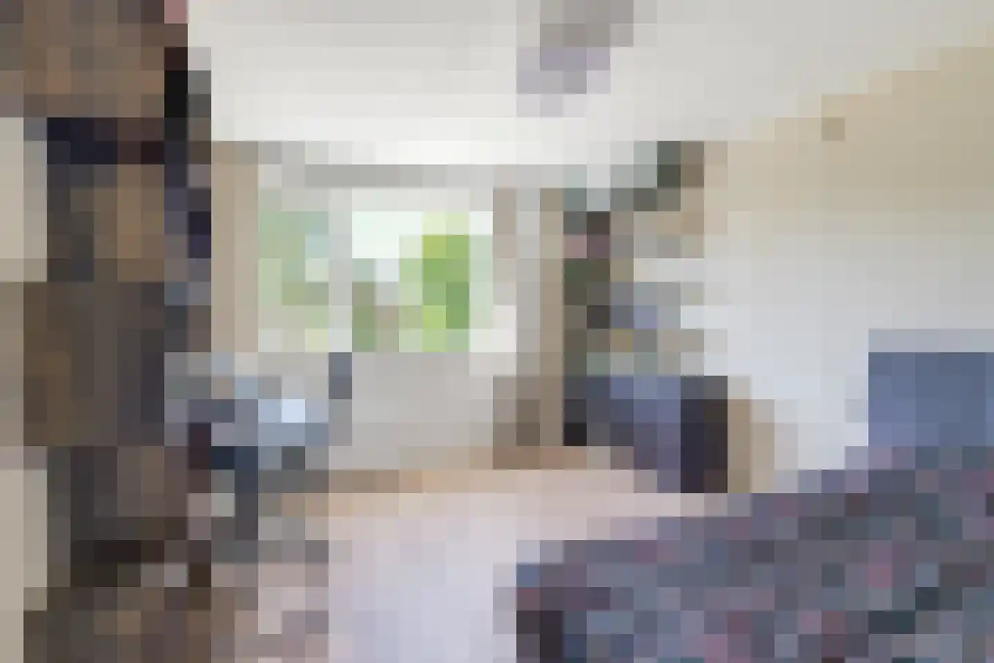 Raiffeisenlaan 36 Wervershoof thumbnail 40