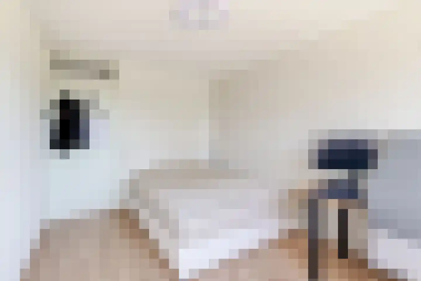 Raiffeisenlaan 36 Wervershoof thumbnail 52