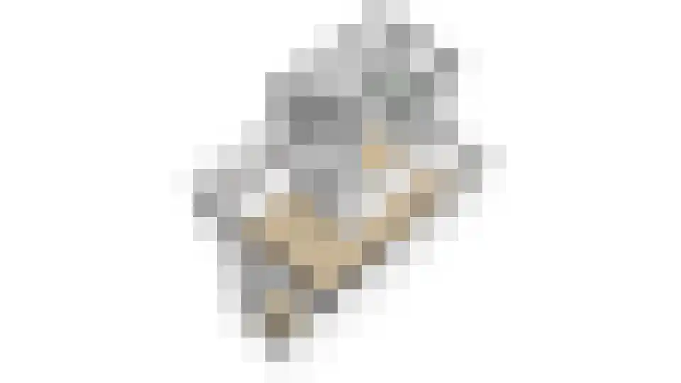 Raiffeisenlaan 36 Wervershoof thumbnail 72