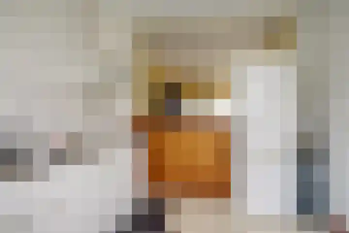 Raiffeisenlaan 36 Wervershoof thumbnail 8