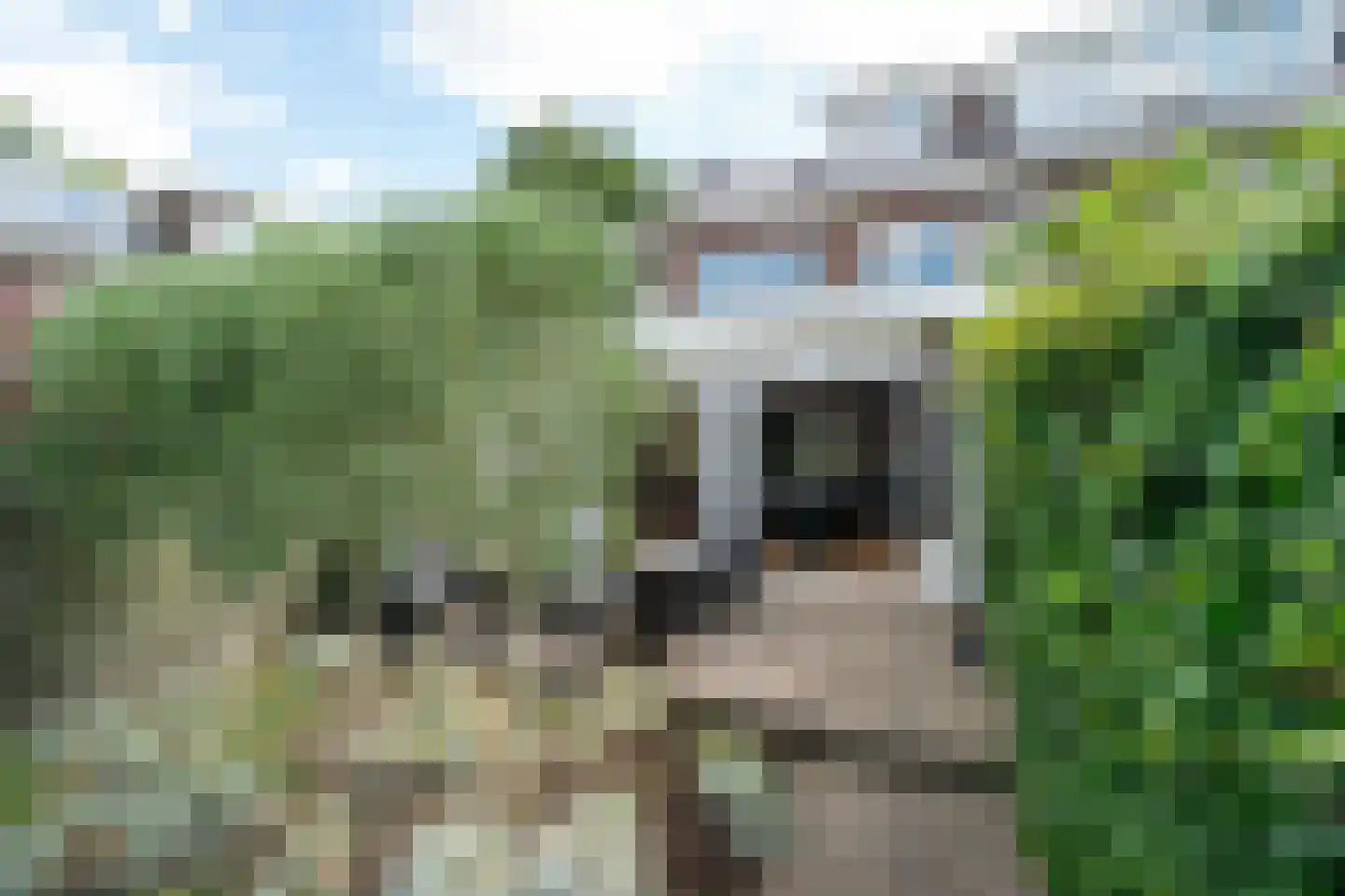 Raiffeisenlaan 65 Utrecht thumbnail 29