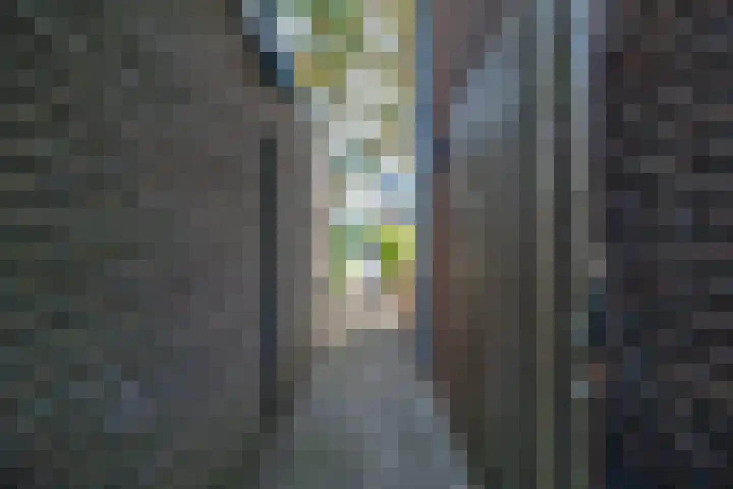 Raiffeisenlaan 65 Utrecht thumbnail 32