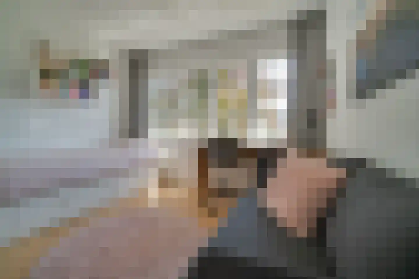 Raiffeisenlaan 65 Utrecht thumbnail 36