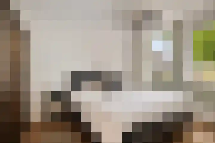 Raiffeisenstraat 25 Nieuw-Weerdinge thumbnail 18