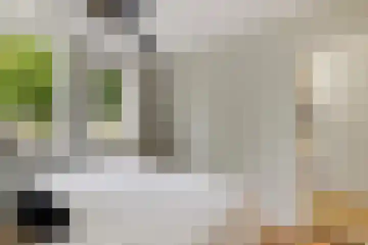 Raiffeisenstraat 25 Nieuw-Weerdinge thumbnail 19