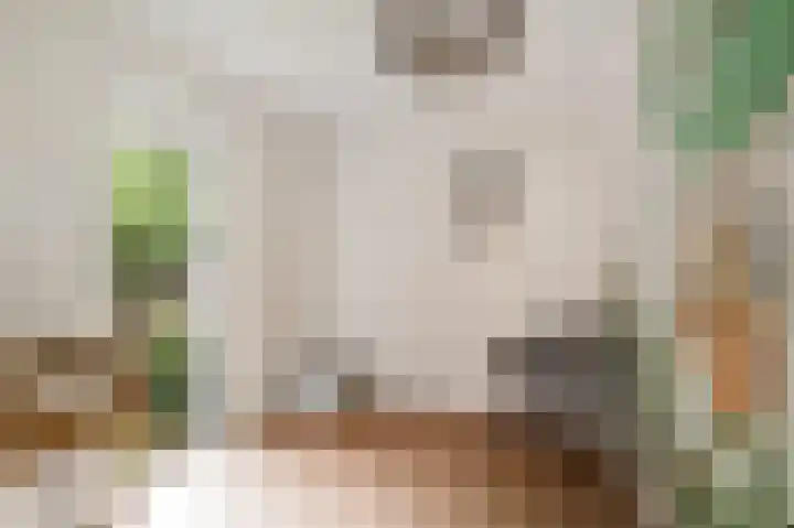 Raiffeisenstraat 25 Nieuw-Weerdinge thumbnail 20