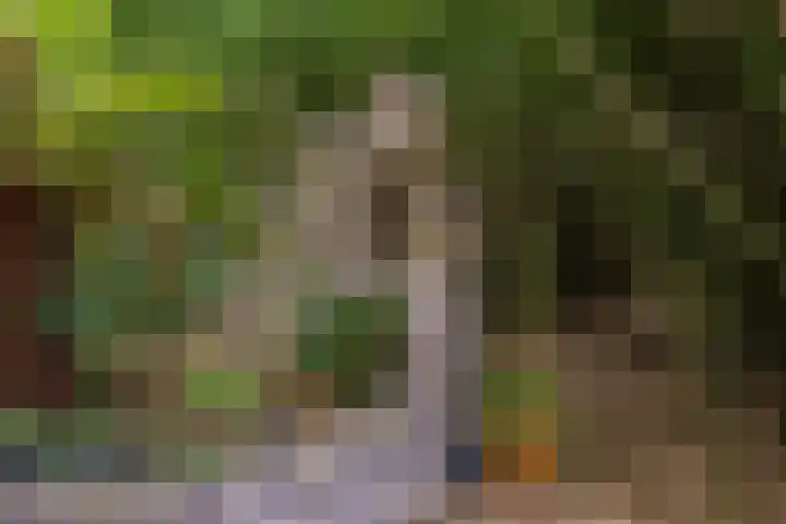 Raiffeisenstraat 25 Nieuw-Weerdinge thumbnail 31