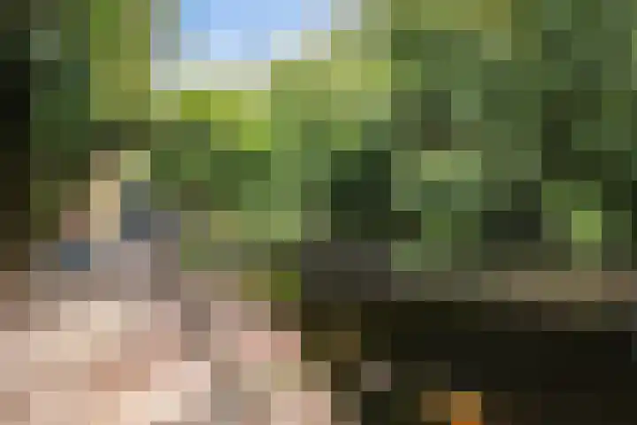 Raiffeisenstraat 25 Nieuw-Weerdinge thumbnail 4