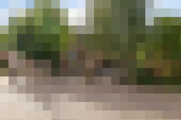 Raiffeisenstraat 25 Nieuw-Weerdinge thumbnail 41